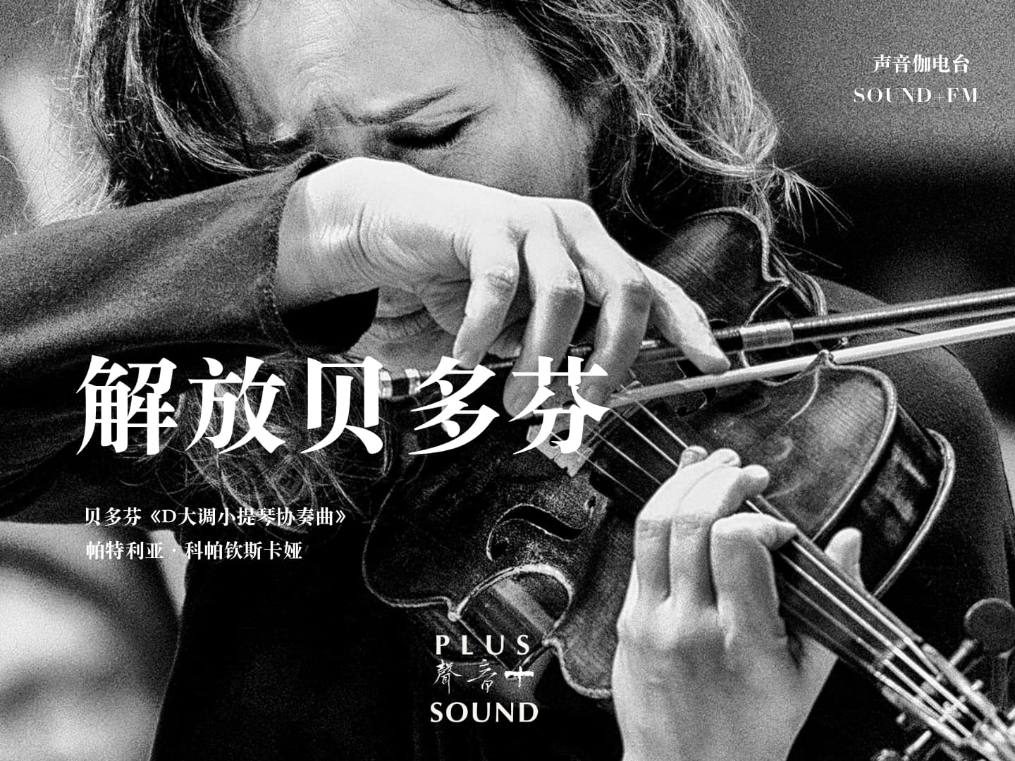 解放贝多芬——PatKop的“贝小协”