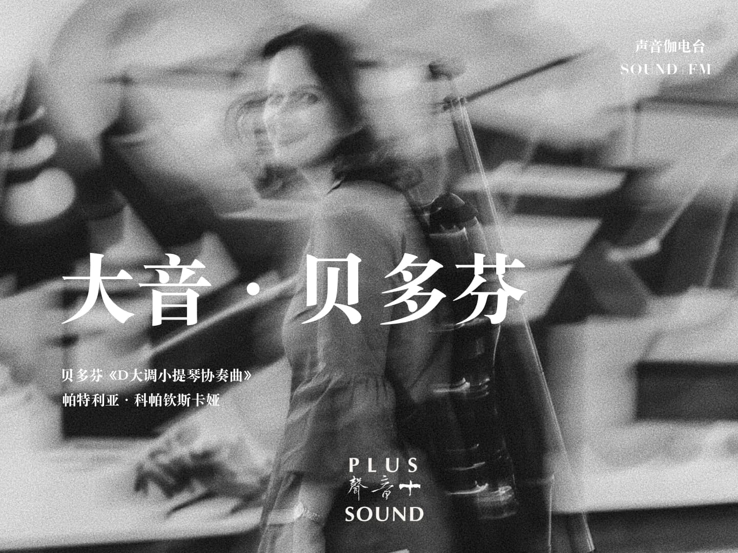 超越常情——大音贝多芬
